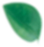img-slider3-012.png